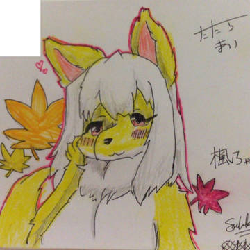 楓ちゃん