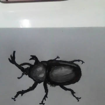 カブトムシ