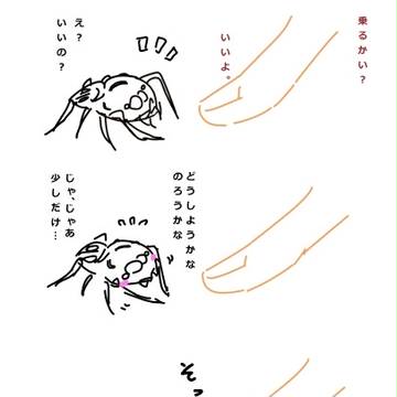 純情乙女・アダンソンハエトリグモさん　（※蜘蛛注意）