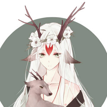 白鹿