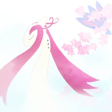美纳斯·樱花
