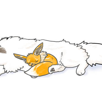 スヤポコ