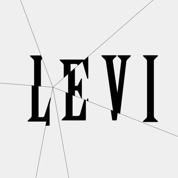 broken Levi