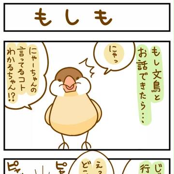 もしも