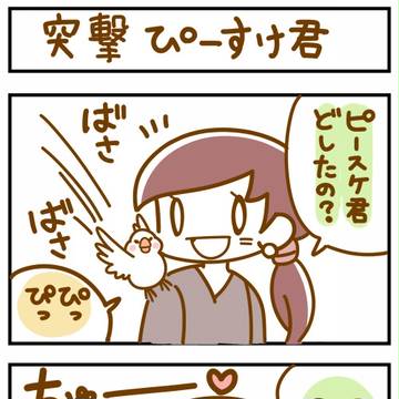 番外編　ぴーすけくん