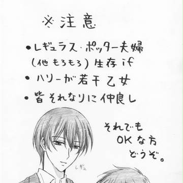 レギュラスとハリーが仲良くなったらいいのにな～な話