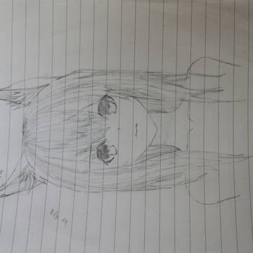 (손그림) 여우소녀