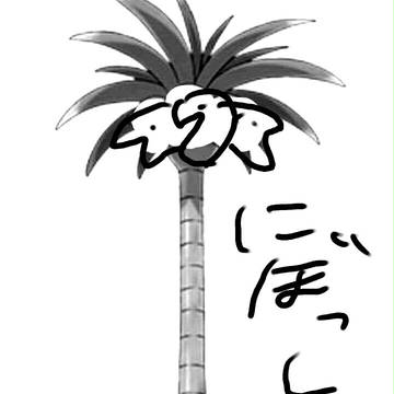 にぼっしー
