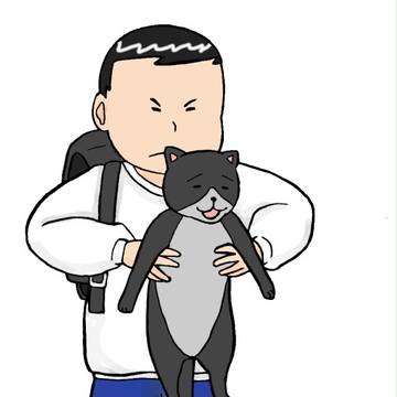 猫防御