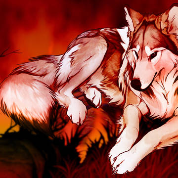 Wolf In Fire