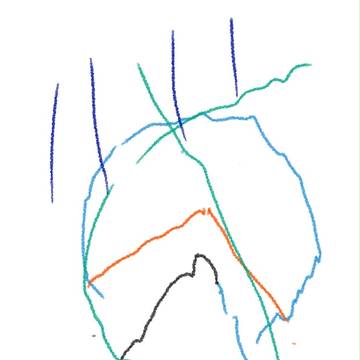 魚