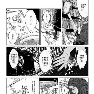 【魔女森】種の芽吹き【交流】