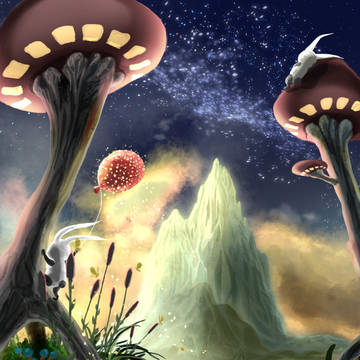 今日は星が綺麗に見えそう