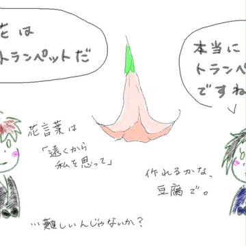 土井くくの日の花