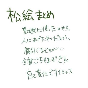 松まとめ