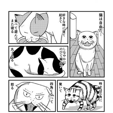 コミティア118