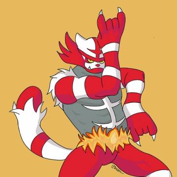 Luchalitten in a Kira Queen pose