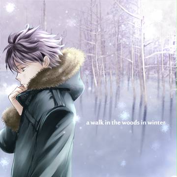 a walk in the woods in winter