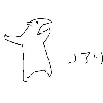 コアリクイ
