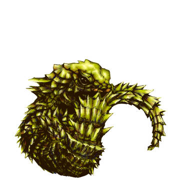 アルマジロトカゲ