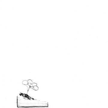 【幻水ｴｱ新刊】clover+世迷言【web再録】