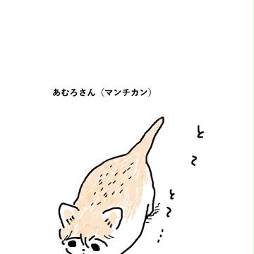 コナンまとめ(半分くらい犬、猫化)