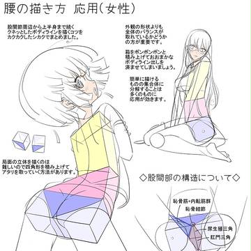 腰の描き方 応用(女性)◇股関節部の構造について◇