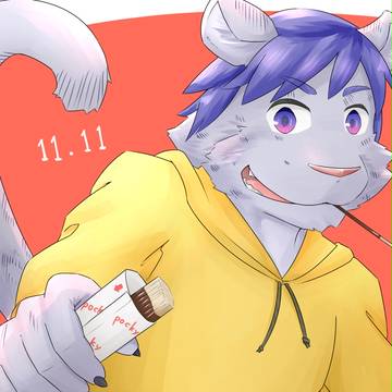 11.11