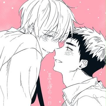 黄笠まとめ