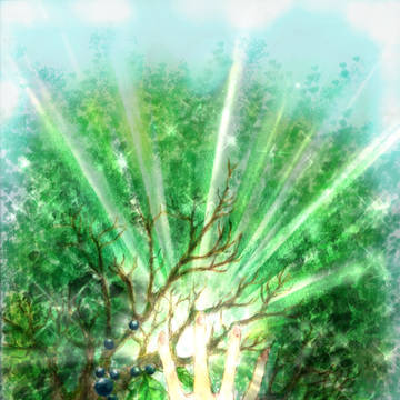 【Kusunoki 】～楠～