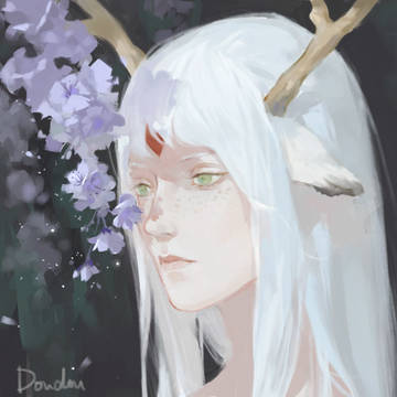 deer