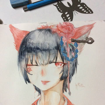 葵葵