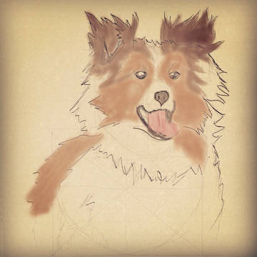 Cachorro