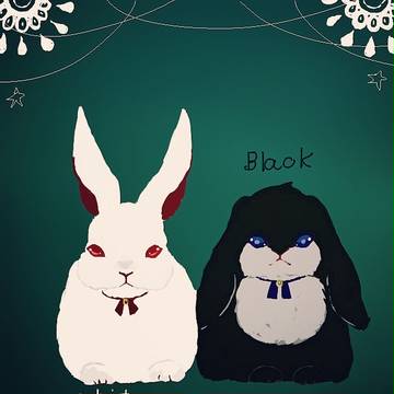 whiterabbit or Blackrabbit