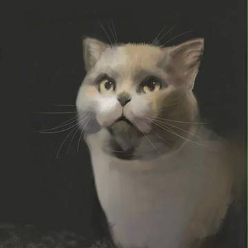 师父的猫——陈大人
