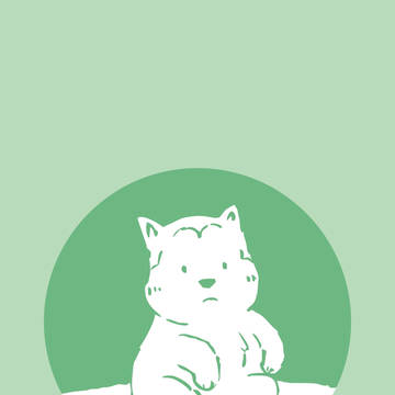 Cute Puppy