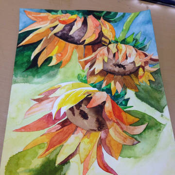 (Water color)Sun flower