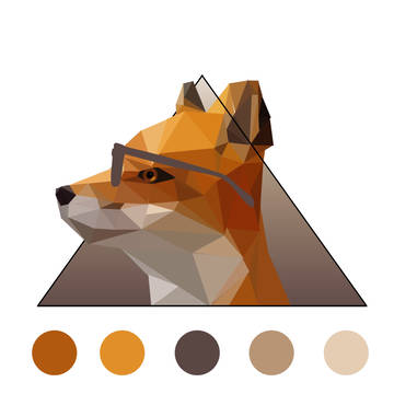 rapoka colors