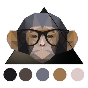 monkey not finished colors