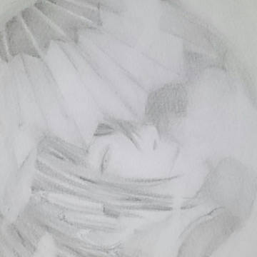 月夜の月