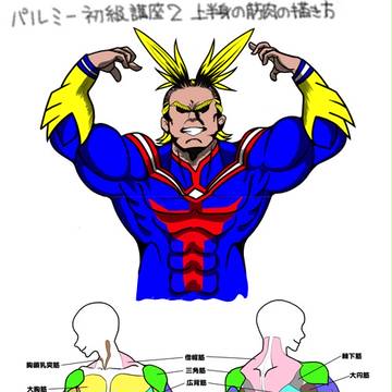 パルミー初級講座２　男性の上半身の筋肉