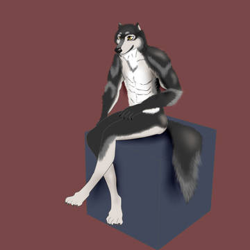 お久しぶりです・・・