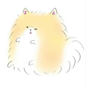 おこ ポメラニアン
