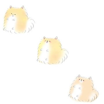 3ポメ