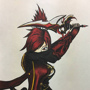 Braid&Soul 暗殺者