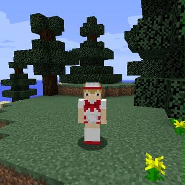 【モ腐サイコ】マイクラスキン
