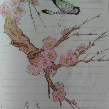 梅上蝶