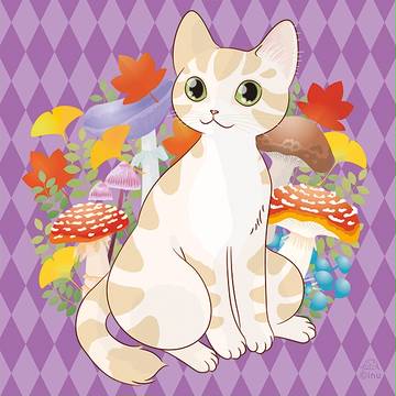 きのこと猫