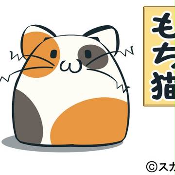 もち猫のこと。