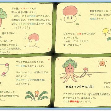マツタケちゃん。